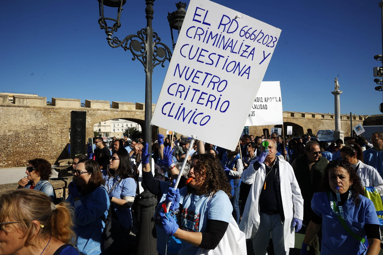 Otro momento de la protesta de los veterinarios en Cádiz.