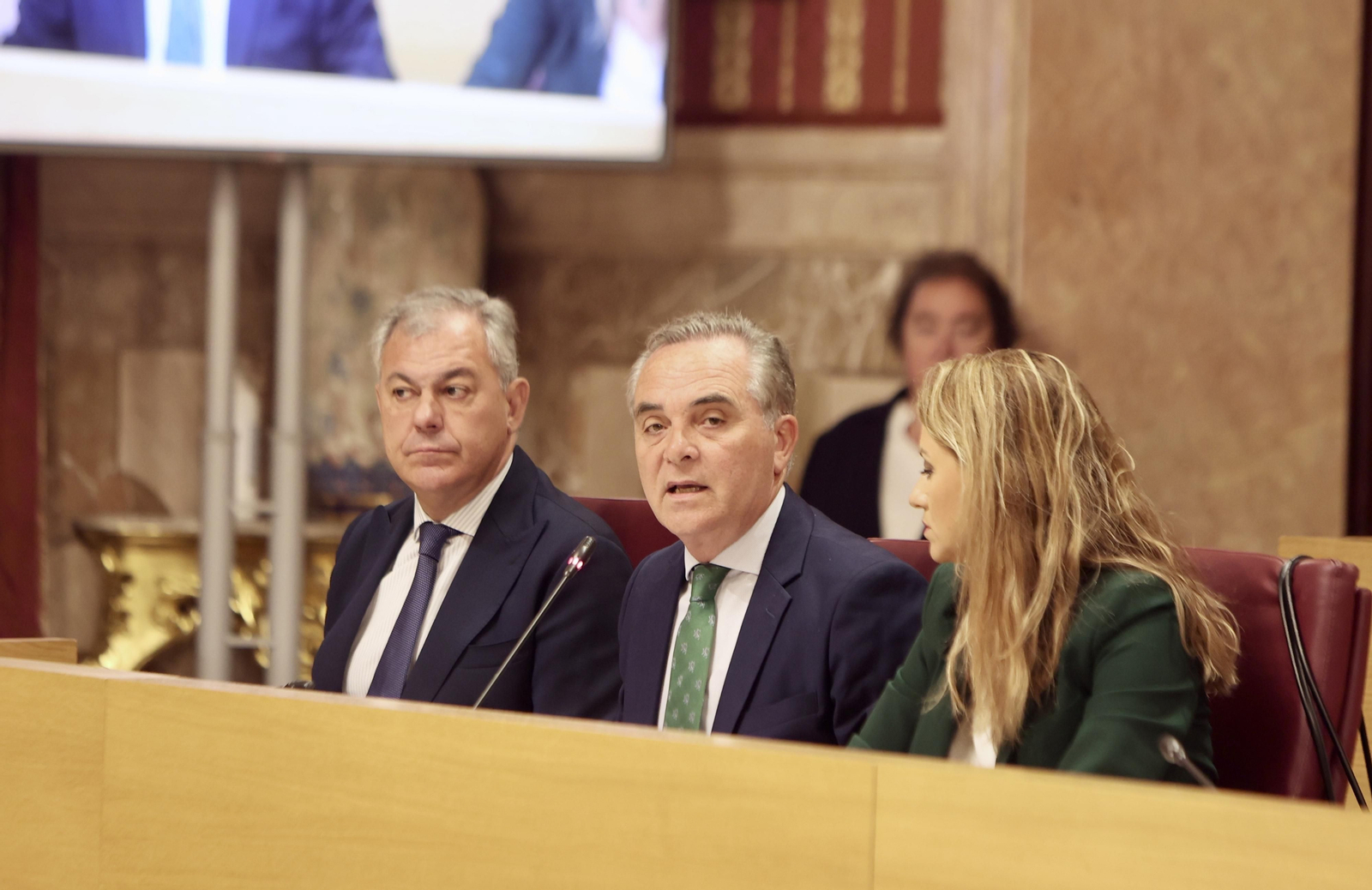 José Luis Sanz, atento durante el Pleno Extraordinario