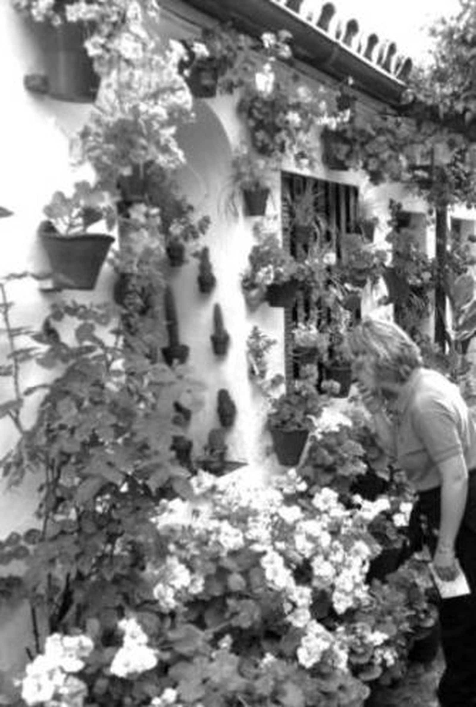 Patio de San Juan de Palomares en 2002, el último que concursó.