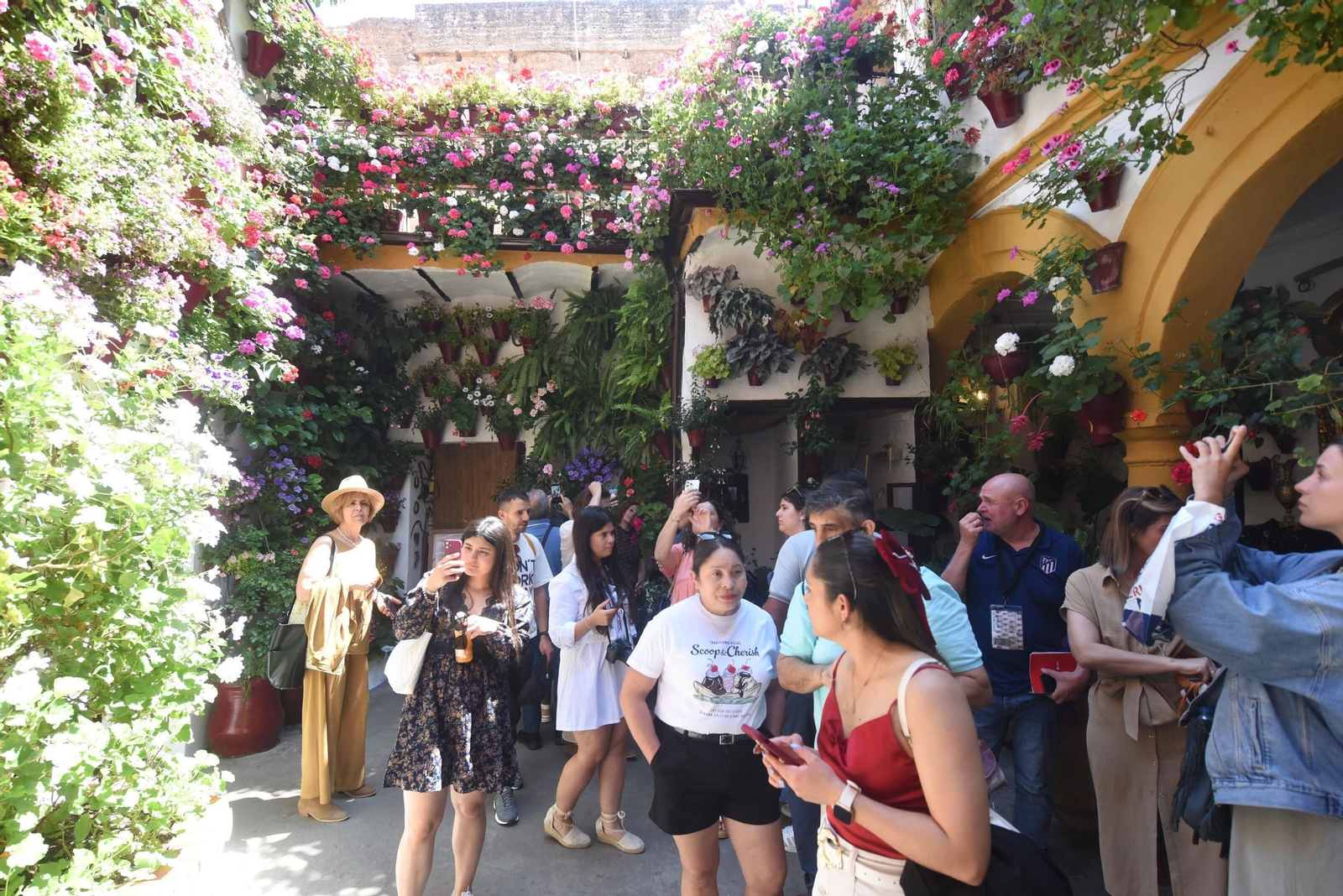 El último sábado de Patios de Córdoba en Alcázar Viejo, en imágenes