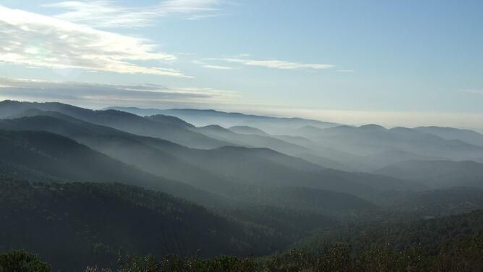 Coto de Las Monteras.