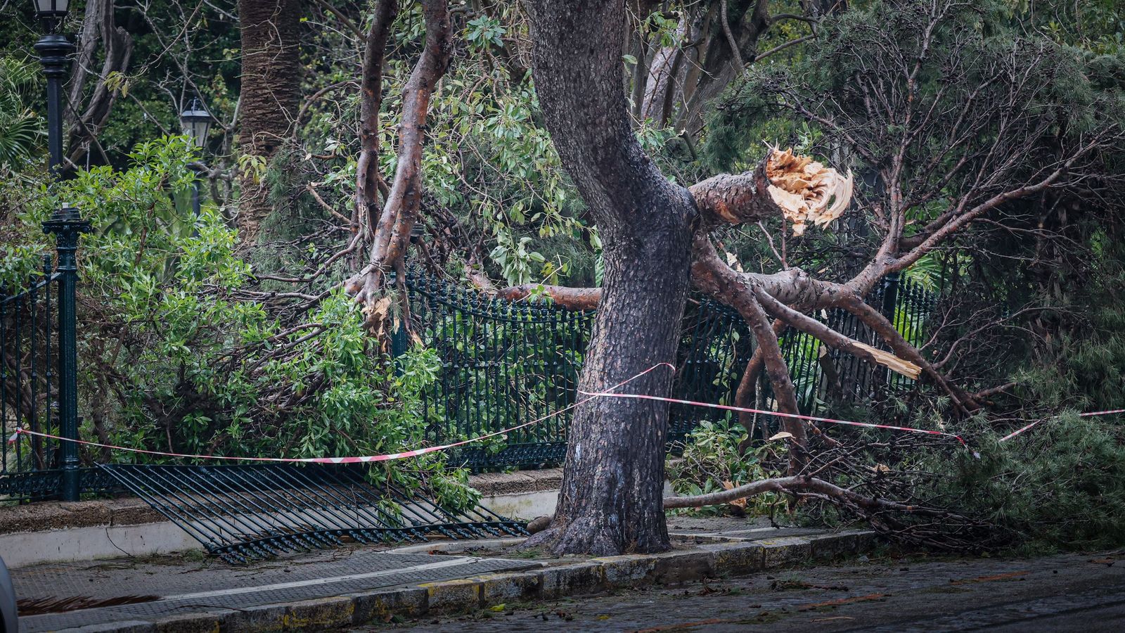 Imágenes de las incidencias y destrozos provocados por la borrasca Kristin en Cádiz