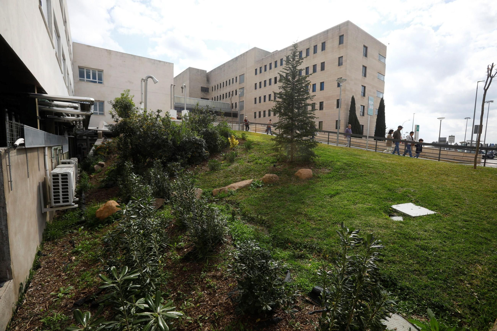 Las zonas verdes repobladas del Hospital Reina Sofía de Córdoba, en imágenes
