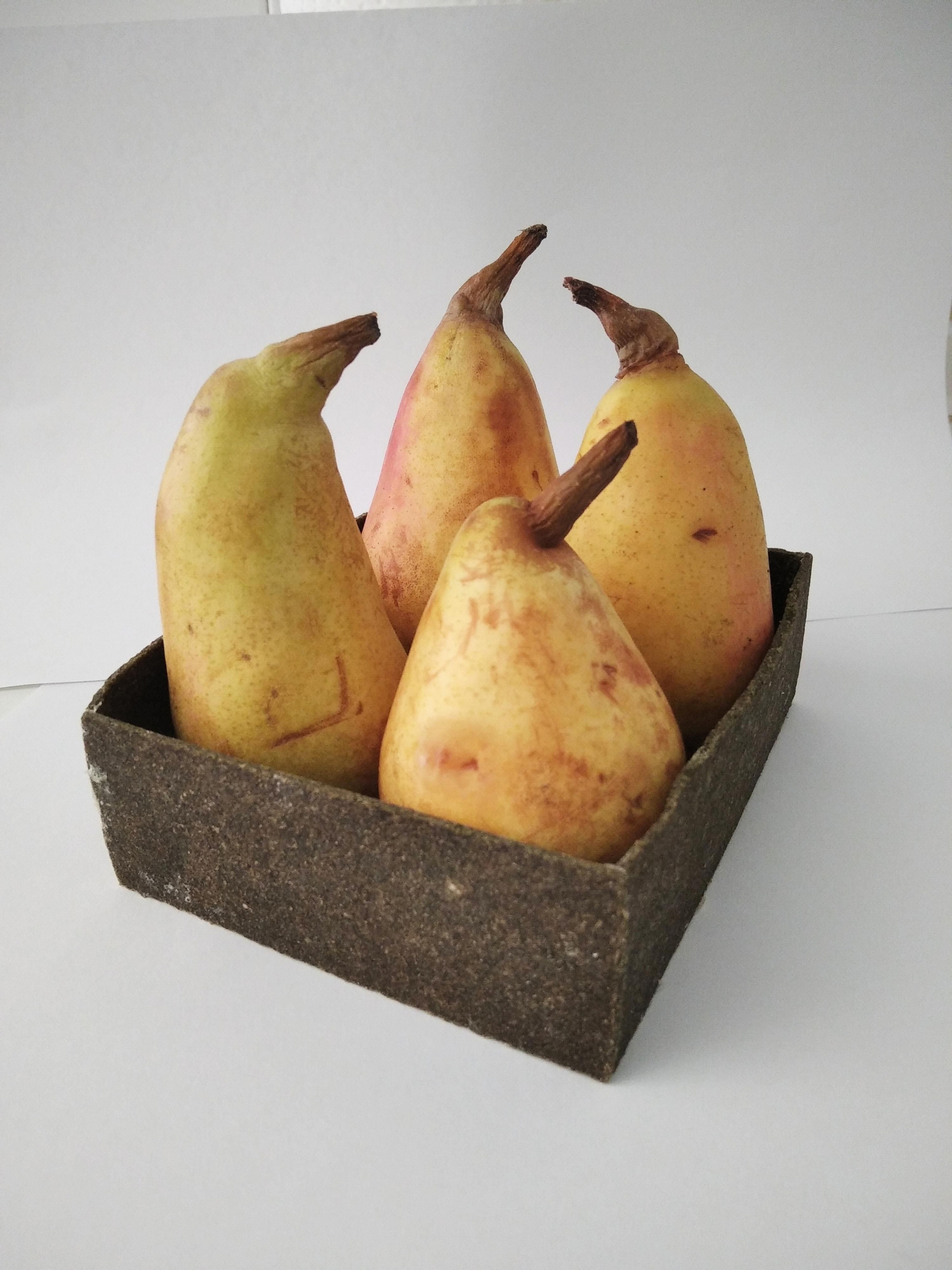 La bandeja prototipo hecha con algas.