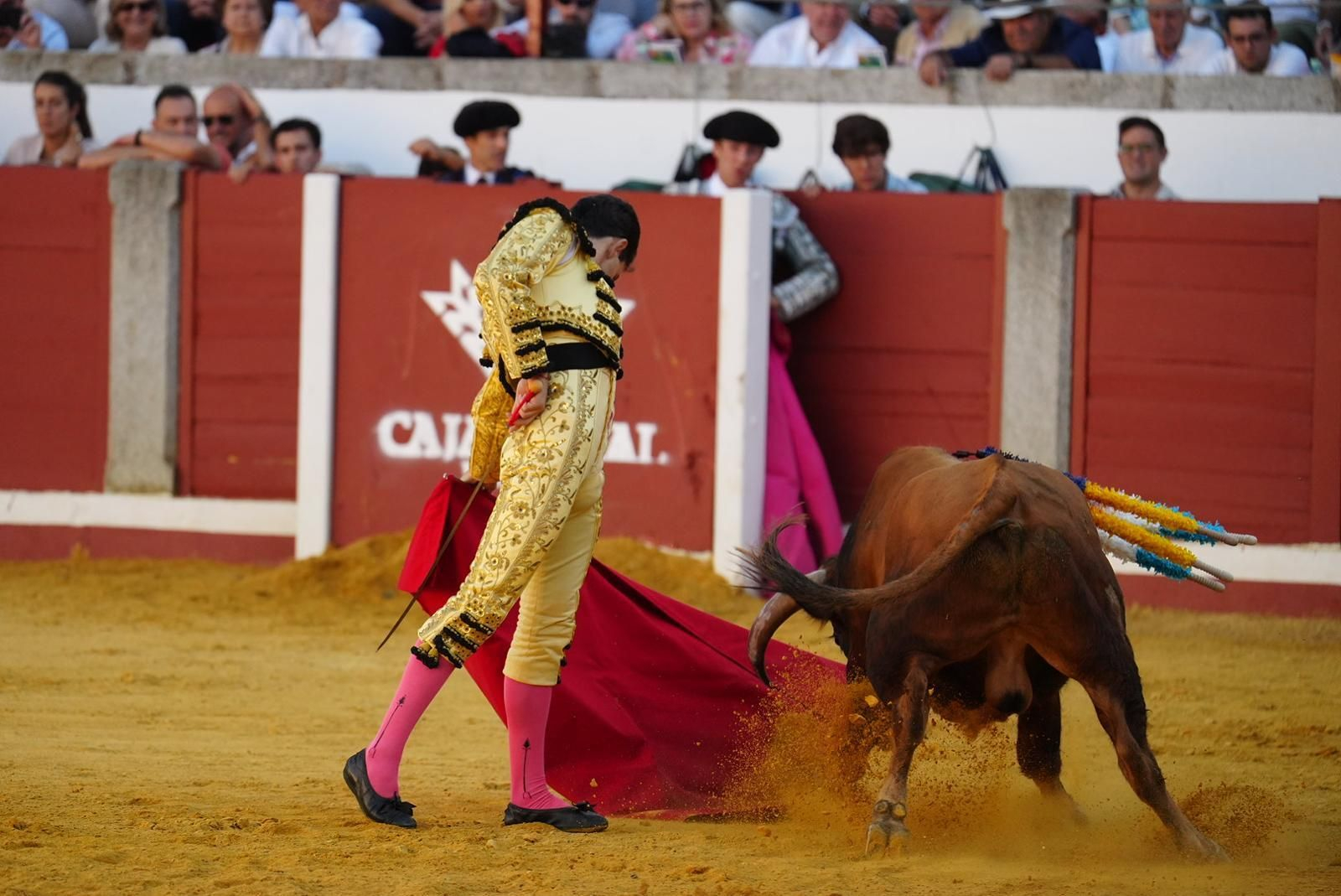 Las fotos del triunfo de Manuel Quintana en la feria taurina de Pozoblanco