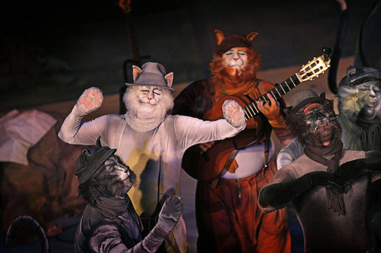 La comparsa de Los Carapapa 'Los gatos callejeros, en plena actuación en el Gran Teatro Falla.  

Foto: Julio Gonzalez