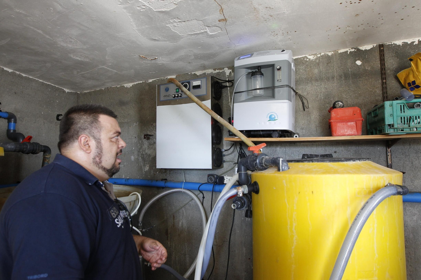 Algunas de las consecuencias de las bajas temperaturas sobre las plantas son la pérdida de raíces y la reducción en la producción.