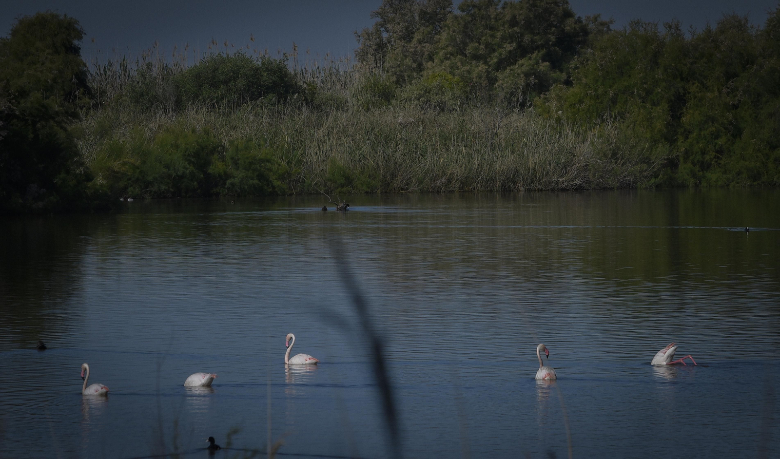 La resistencia en los pueblos de Sevilla al Coronavirus: Lantejuela