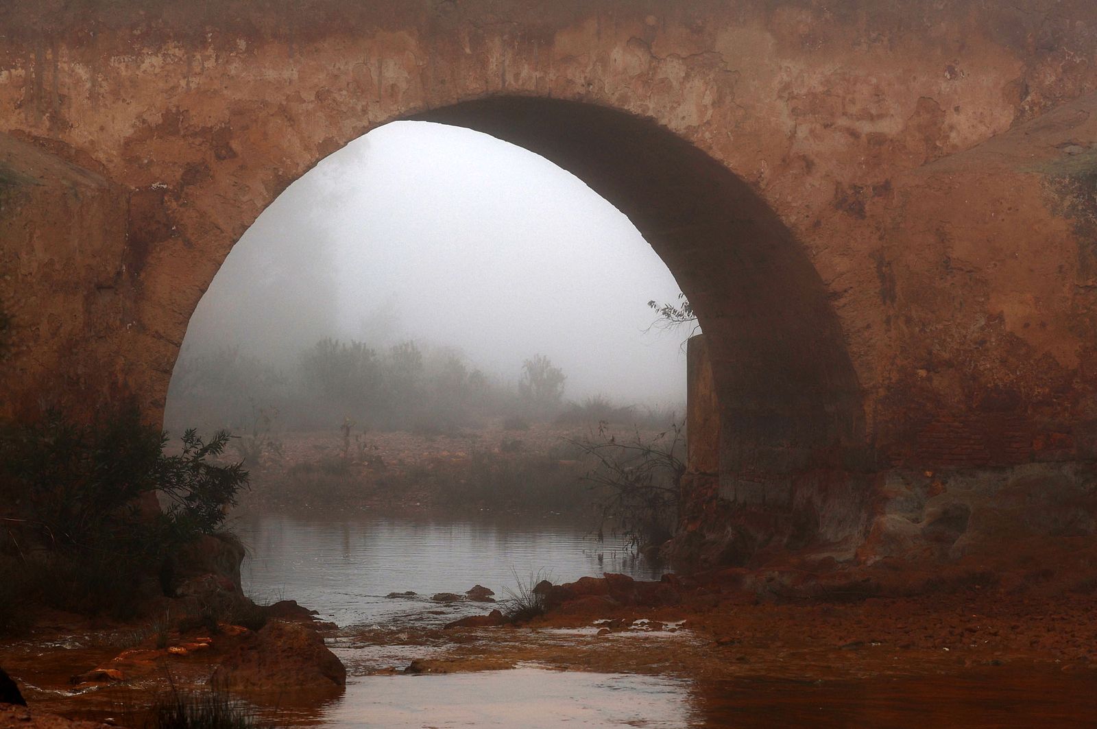 Imágenes de la densa niebla con la que han amanecido varios municipios de Huelva