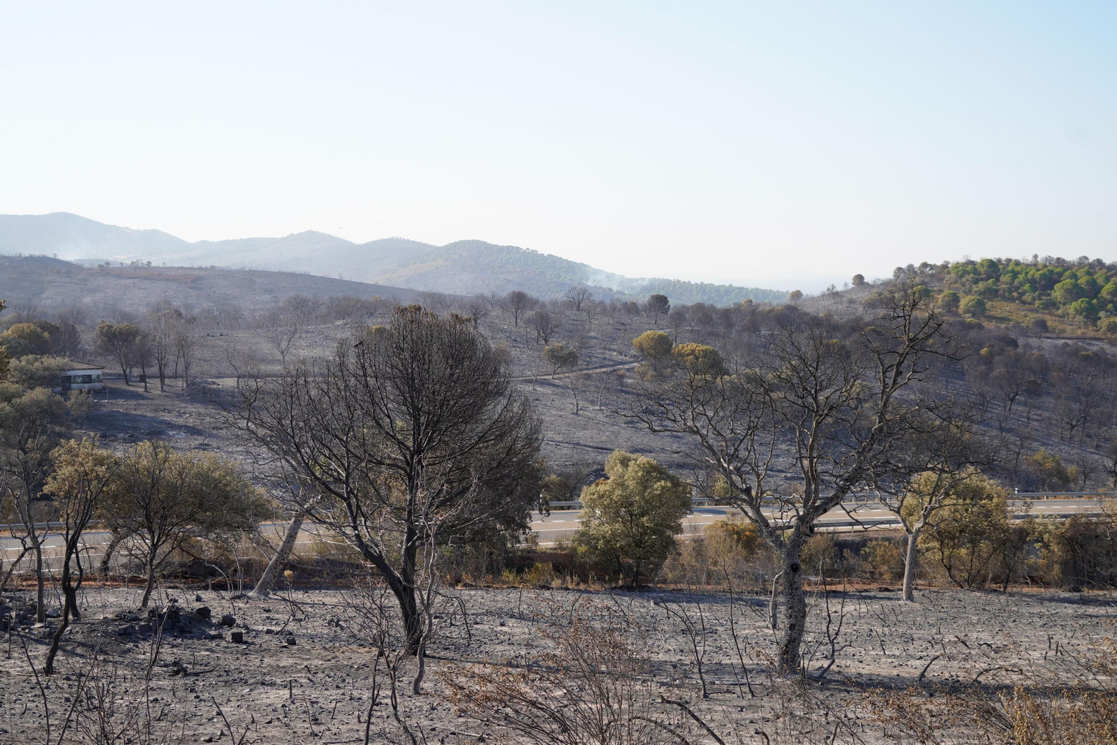 Daños provocados por el fuego en el Calatraveño, en Córdoba.
