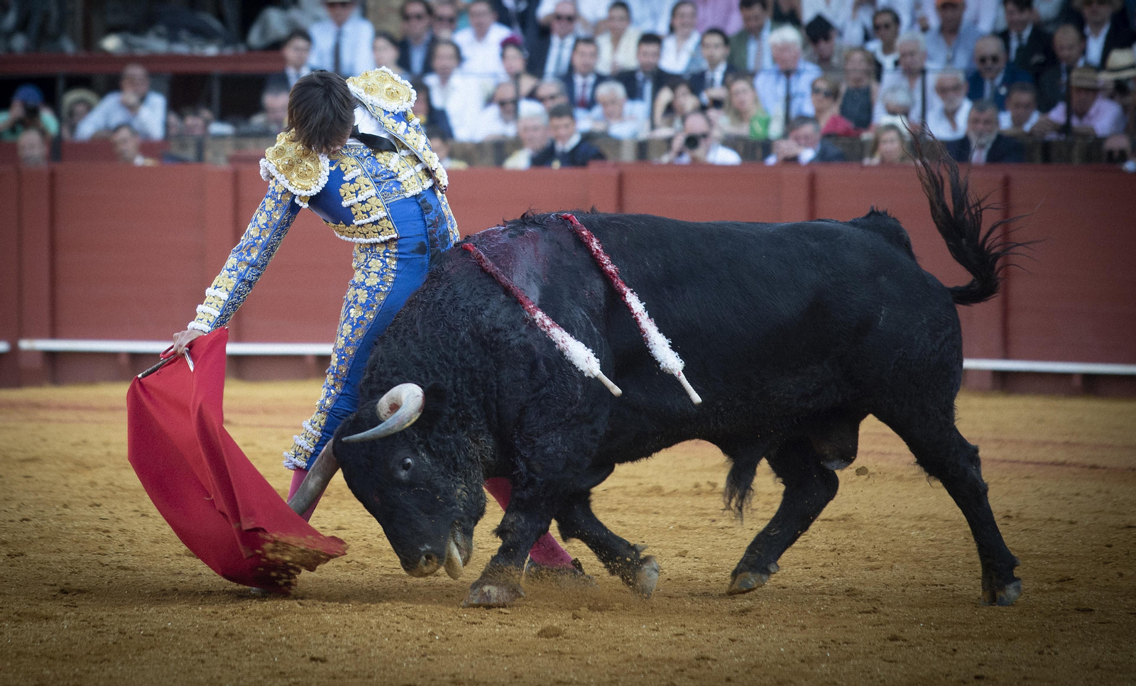 Las mejores imágenes del duodécimo festejo de toros