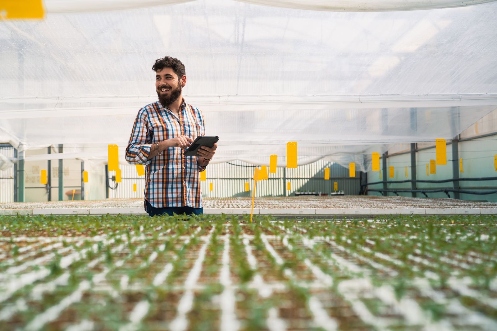 Un agricultor en un invernadero