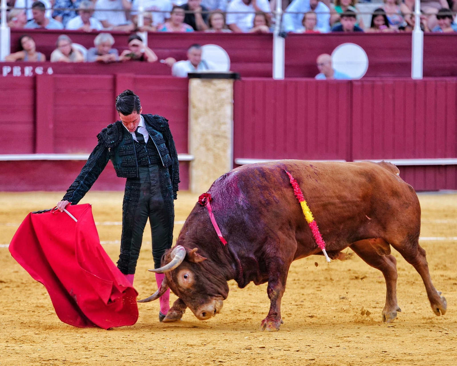 David Galván reaparece en Málaga sin suerte con la espada