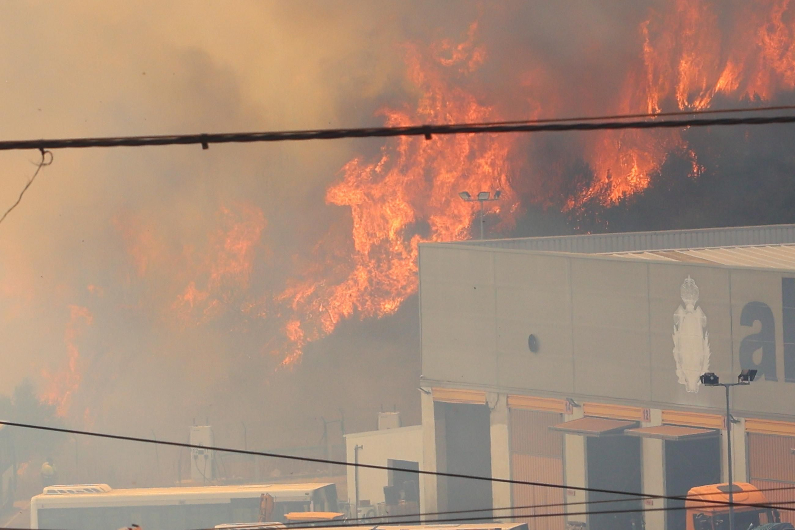 Las fotografías del incendio en el paraje de Botafuegos, en Algeciras