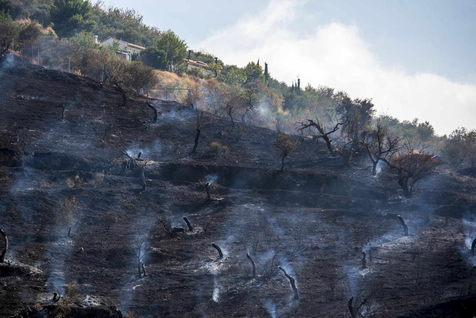 Imágenes del incendio ya estabilizado en Pinos del Valle