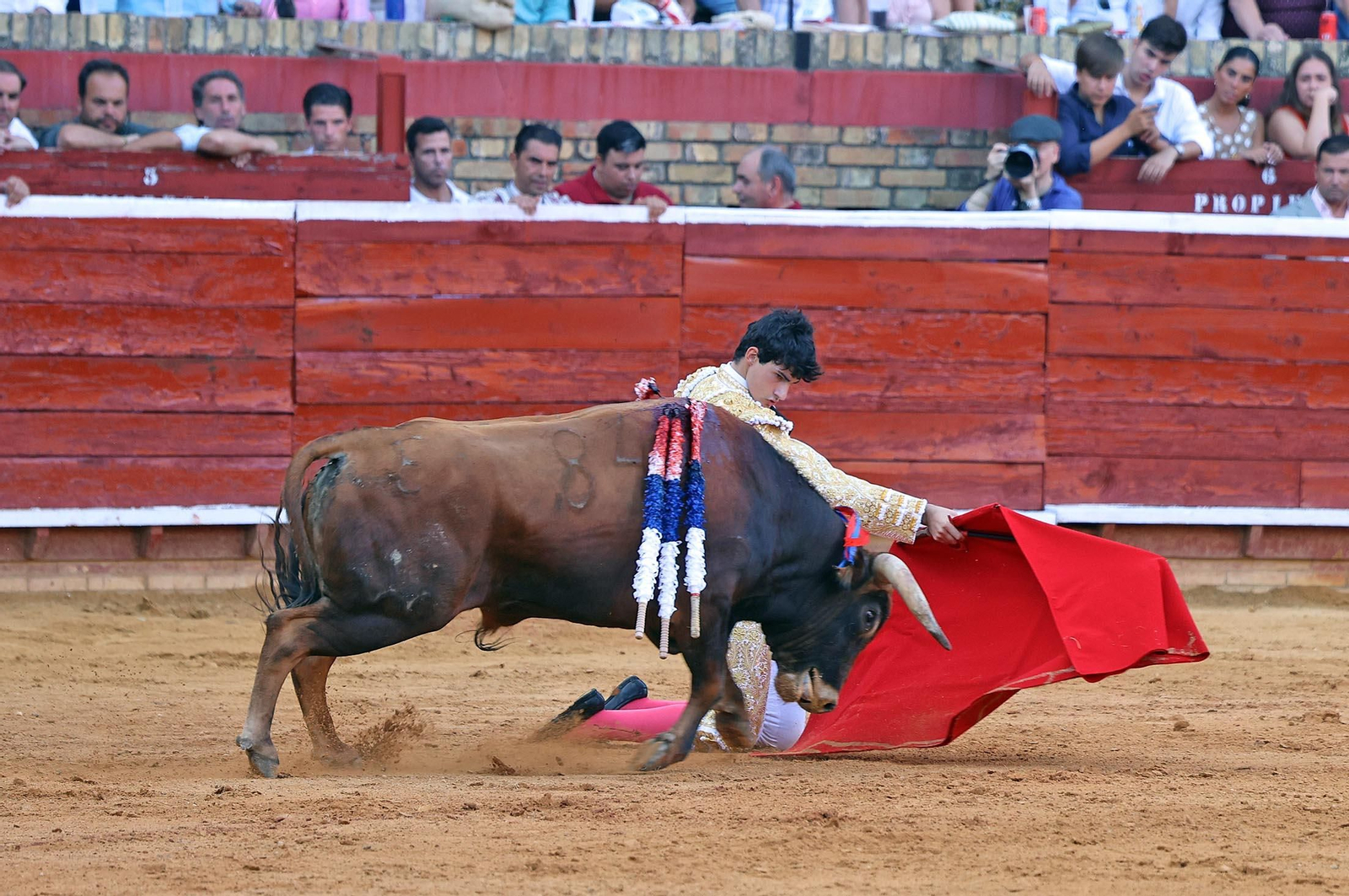 Toros La Merced 2025: Imágenes de la Novillada de Javier Zulueta, Cristian González y Carlos Tirado
