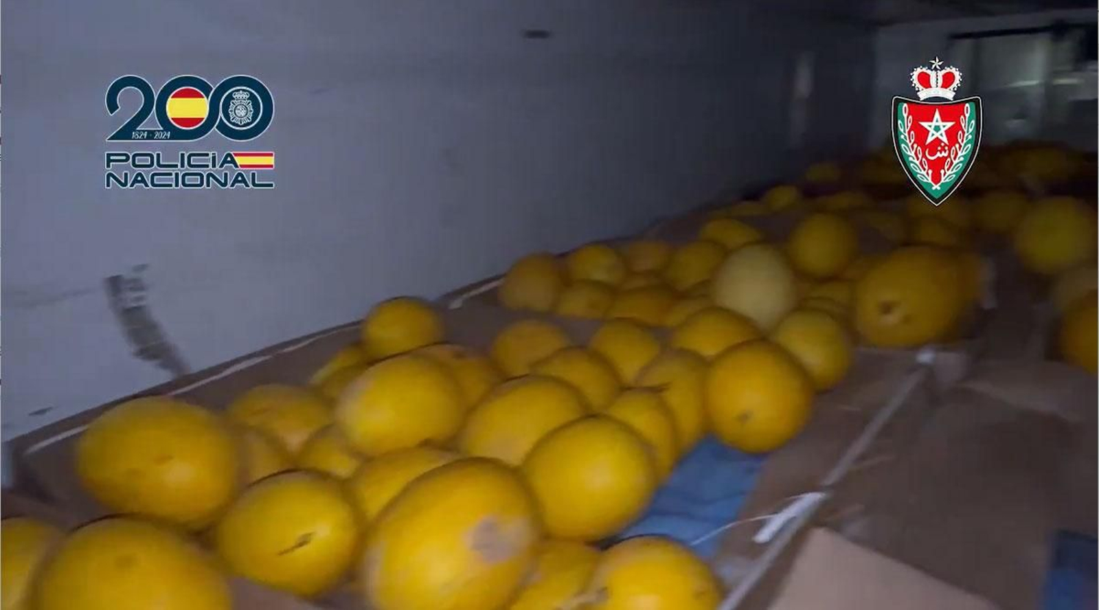 Desarticulada una red criminal en Cádiz que transportaba 11 toneladas de hachís ocultas entre palés de melones
