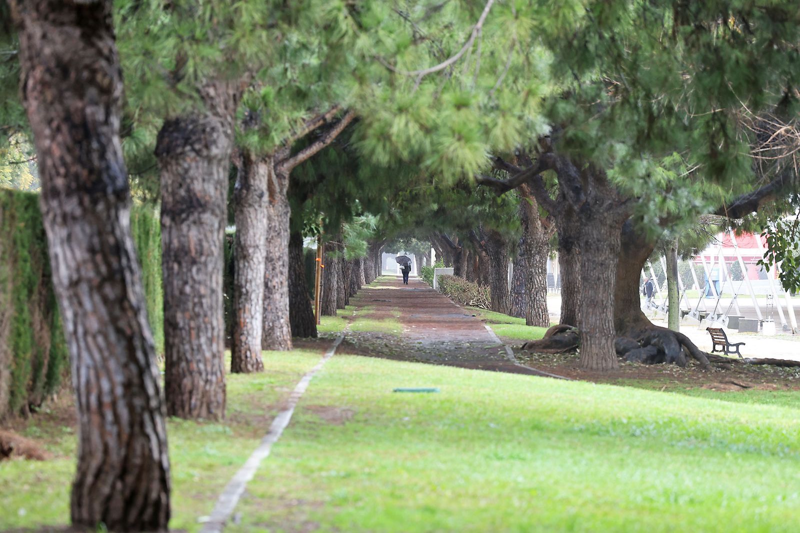 Las imágenes más destacadas del sábado 25 de enero en Huelva