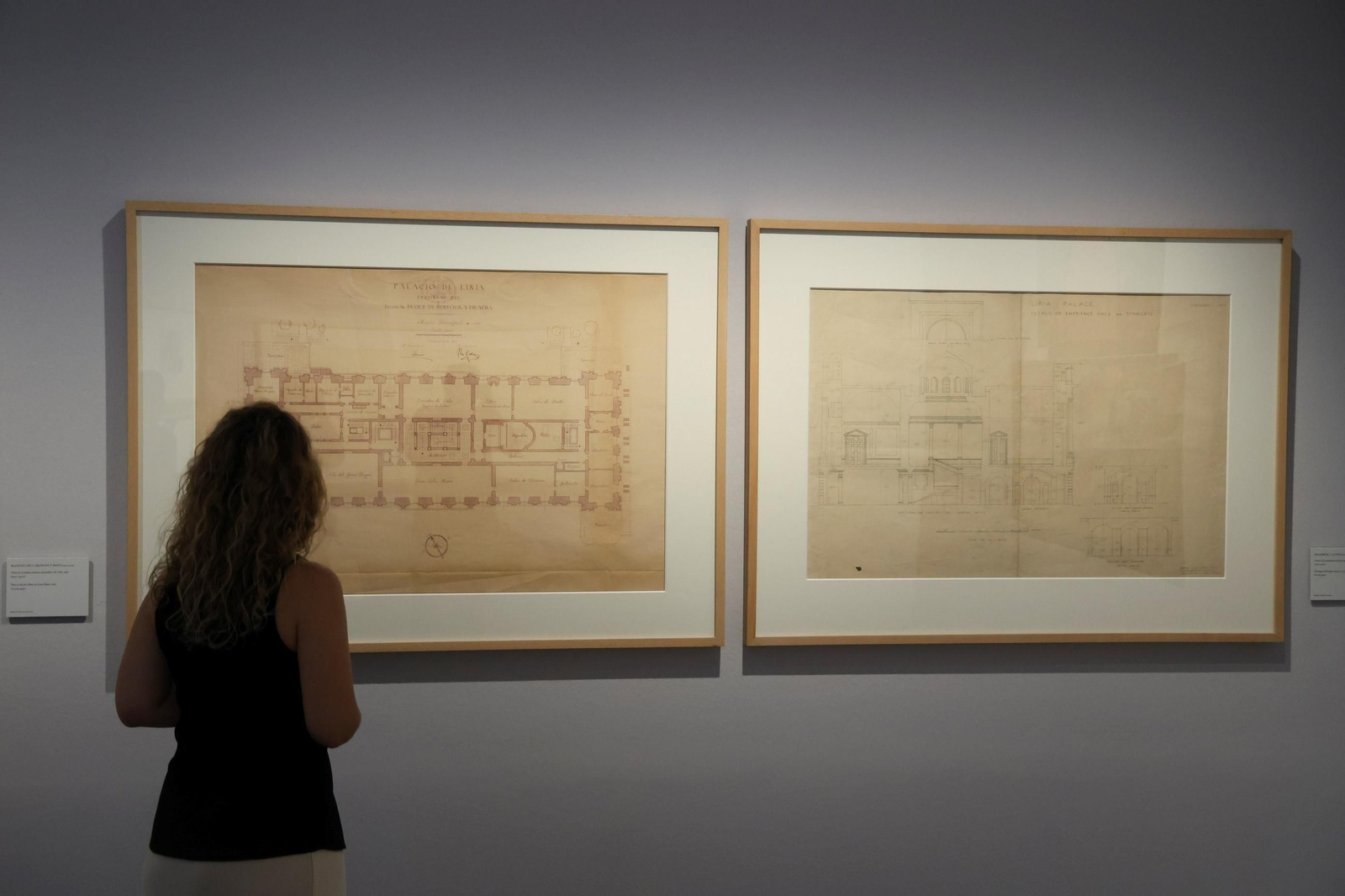 La exposición Mecenazgo y coleccionismo en la Casa de Alba llega a Málaga, en imágenes
