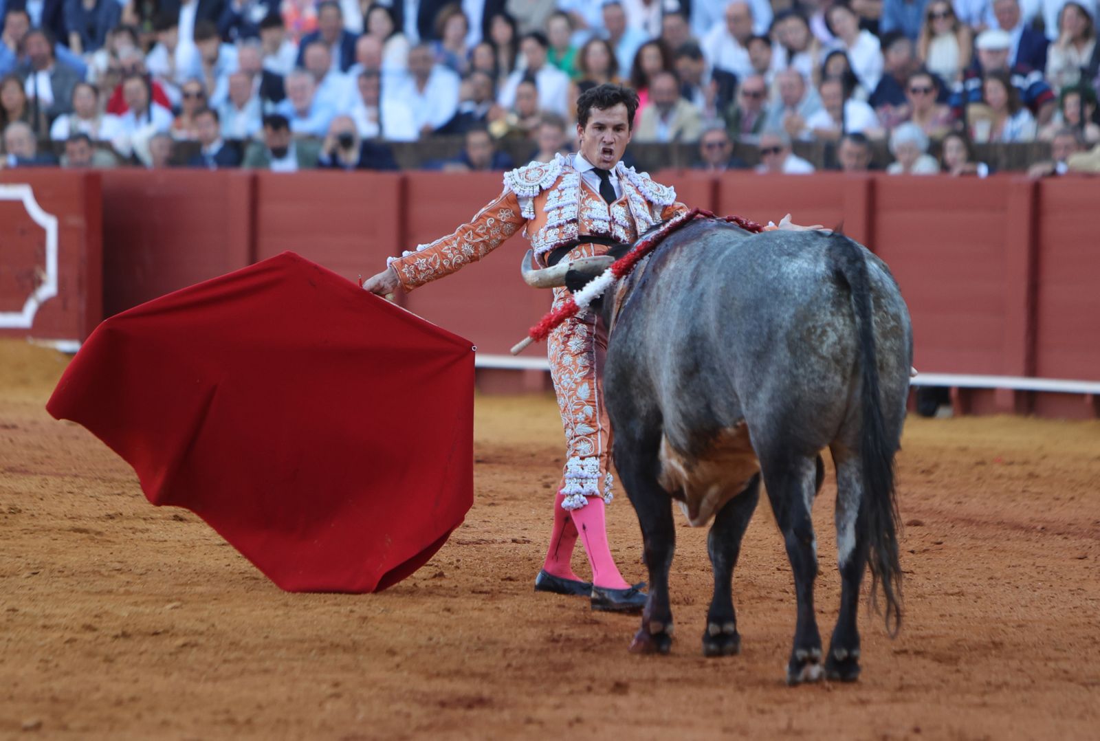 Toros en la Maestranza .Domingo