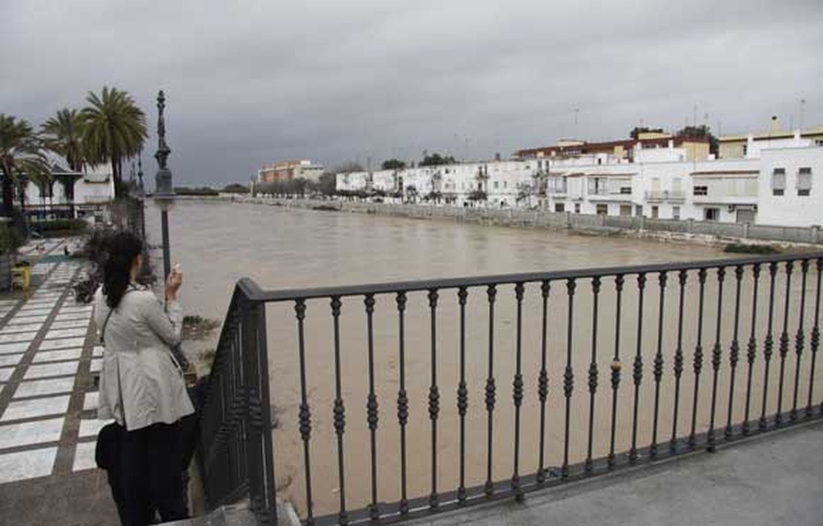 Chiclana se lleva la peor parte de las intensas lluvias que afectan a la provincia, provocando cortes de carreteras, desalojos de casas y crecidas de los ríos

Foto: Sonia Ramos/A.Mora/Rioja