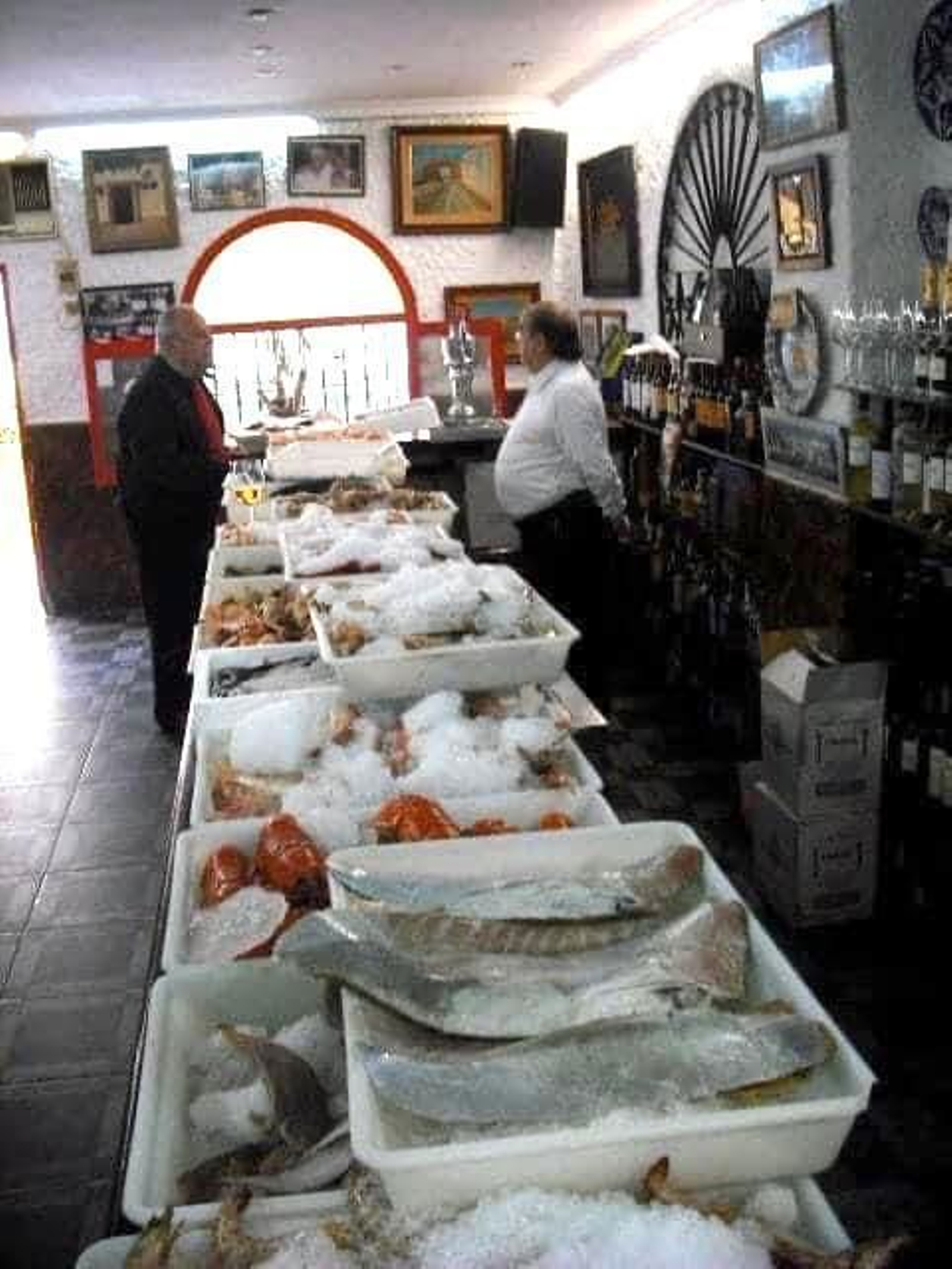 La barra del Gitano  Rubio