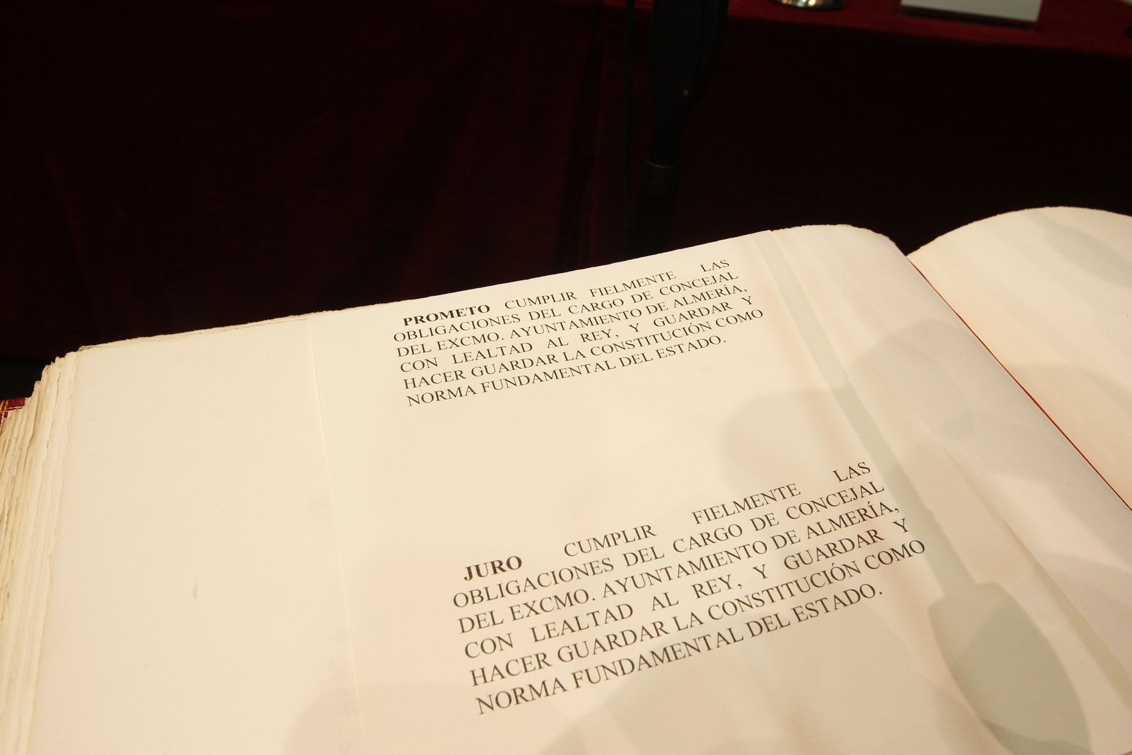 Fotogalería Pleno Constitución Ayuntamiento de Almería