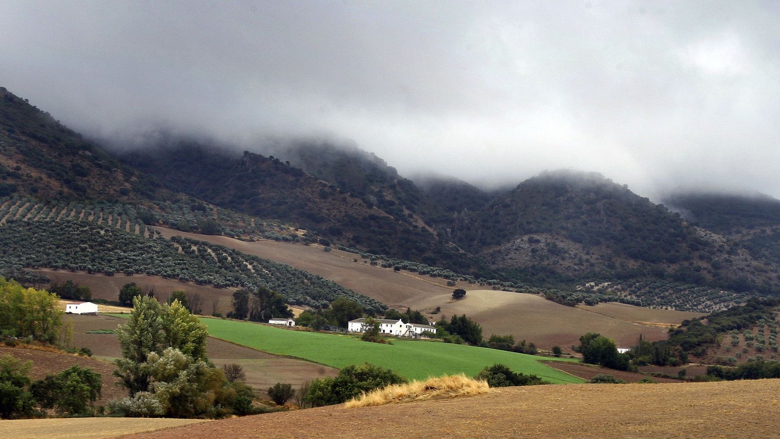 Paisaje en Villanueva del Rosario.