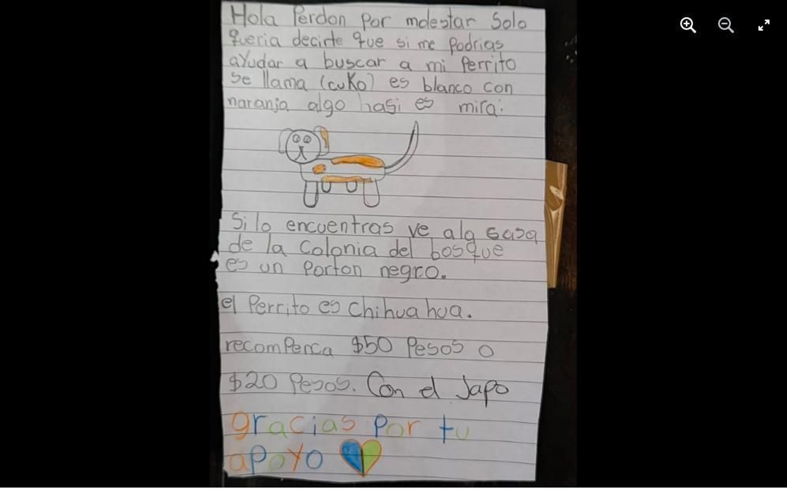 Cartel de perro perdido