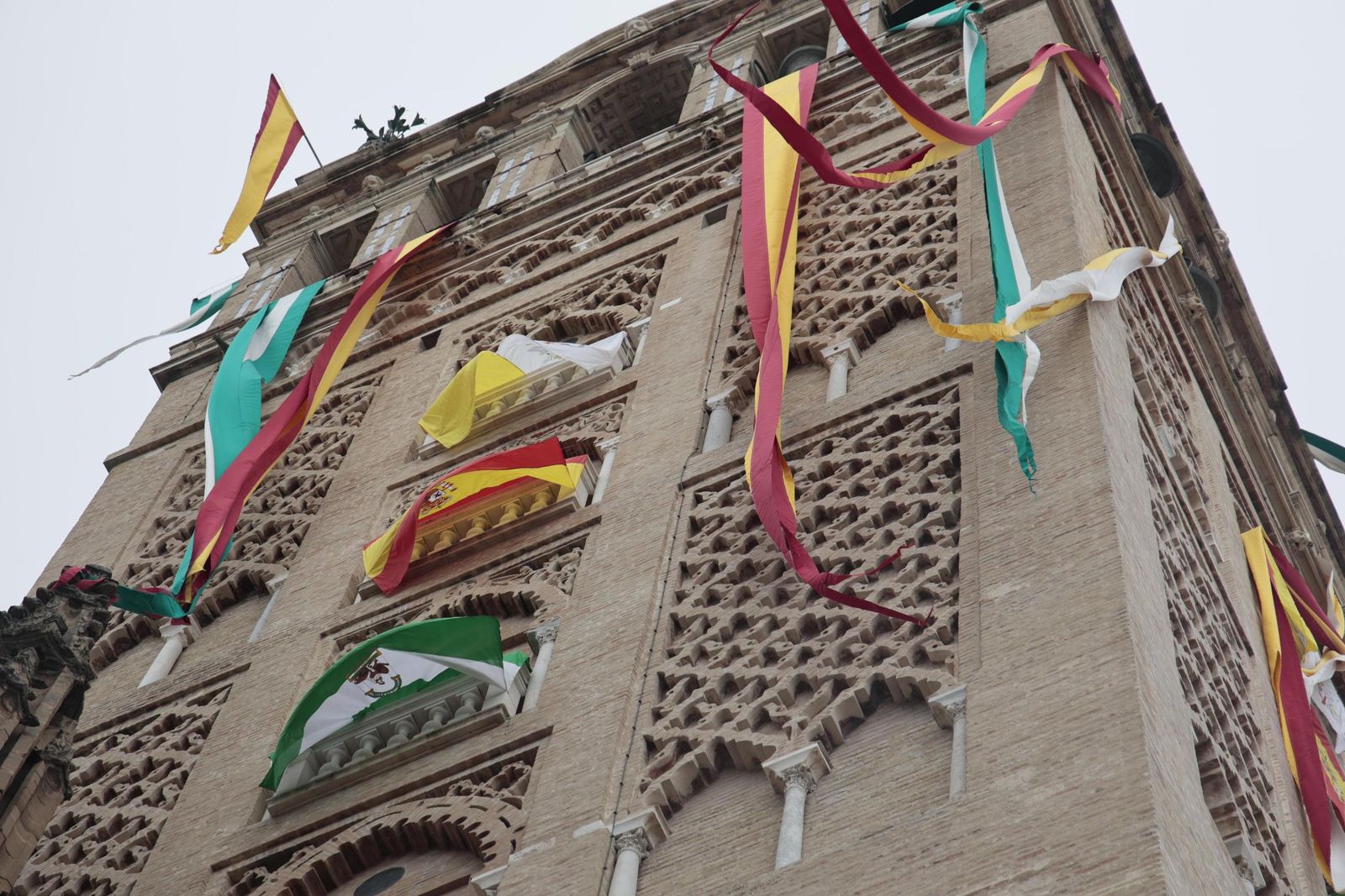 Las imágenes de la beatificación del Padre Torres Padilla