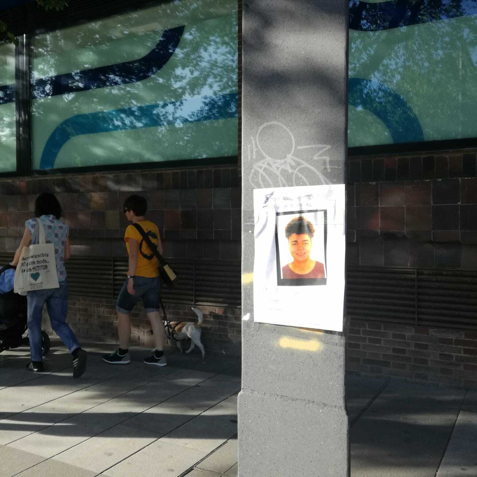 Uno de los carteles que alertaban sobre la desaparición colgado por Granada.