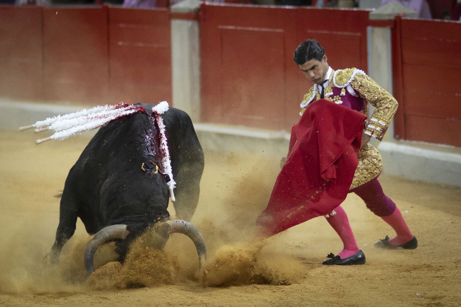 El Fandi vuelve a deleitar ante su afición