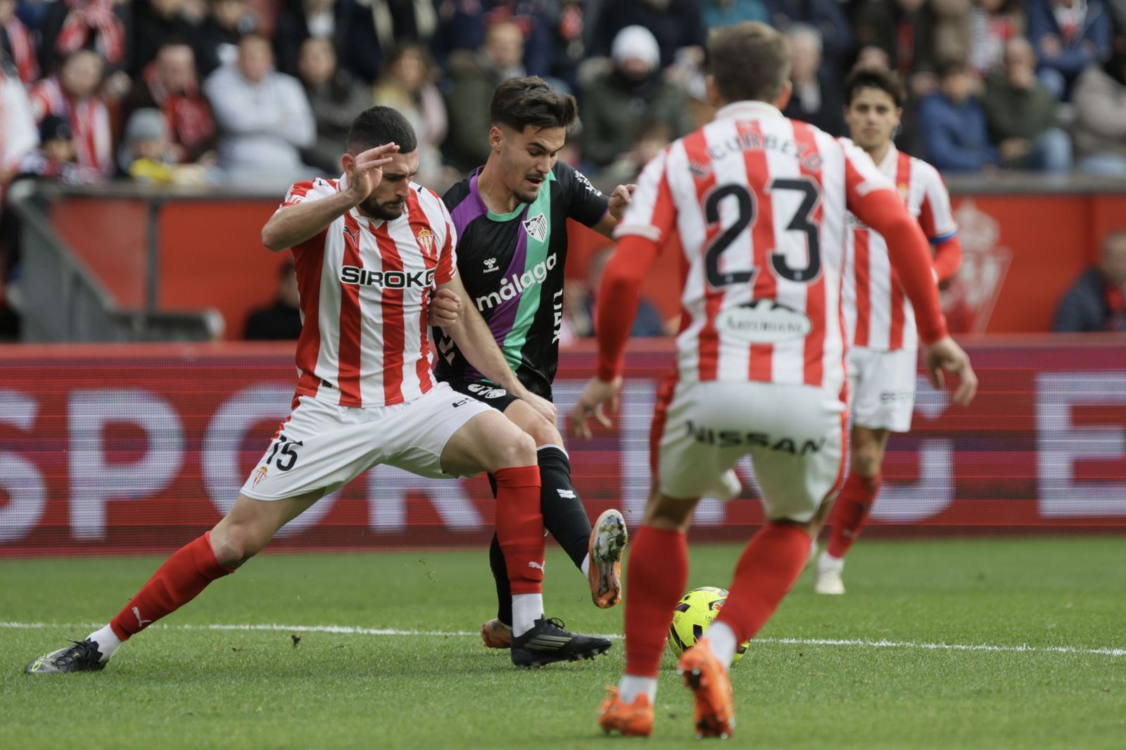 El Sporting-Málaga CF, en fotos