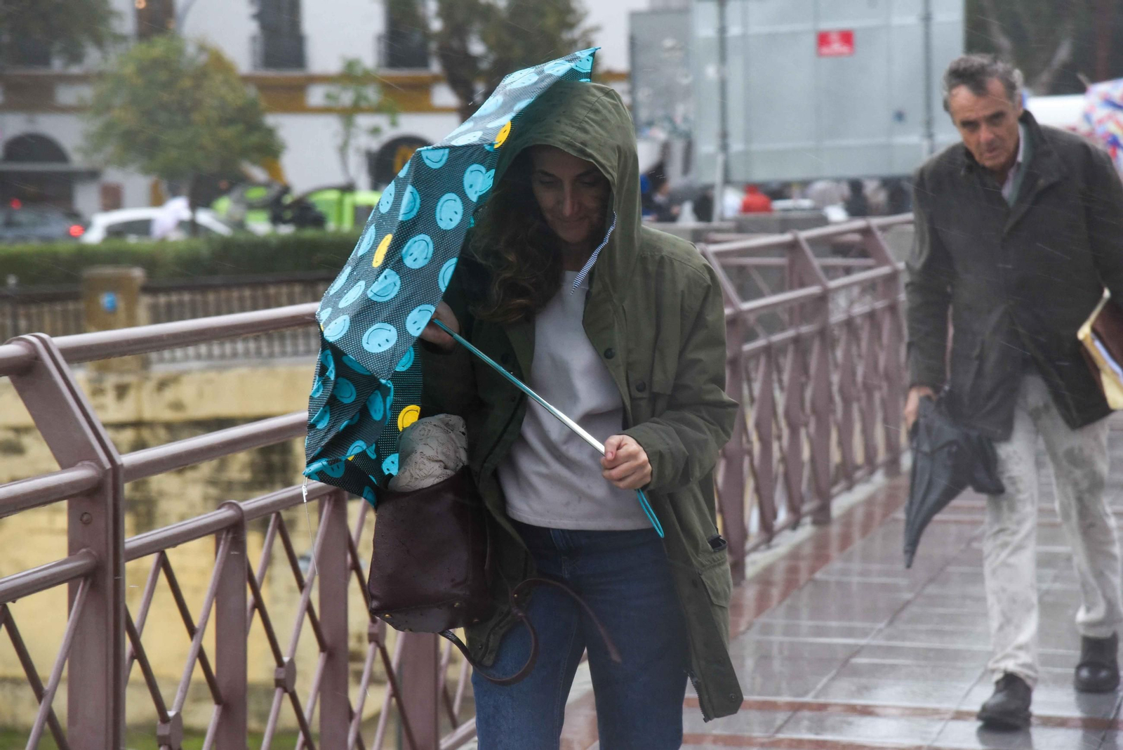 El paso de la Borrasca Claudia por Sevilla en imágenes