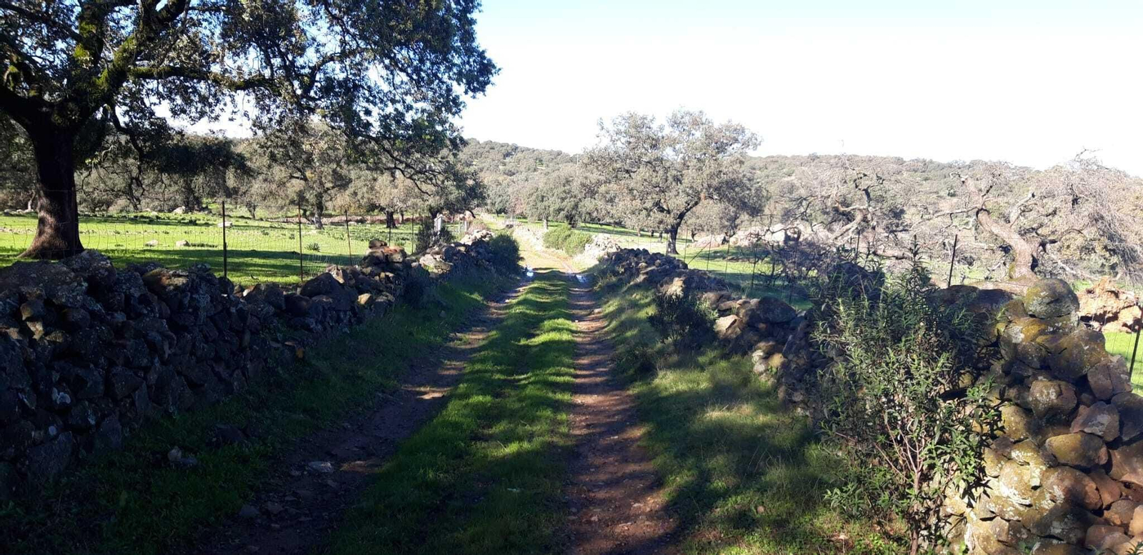 La vegetación se abre un poco más a partir de la mitad.