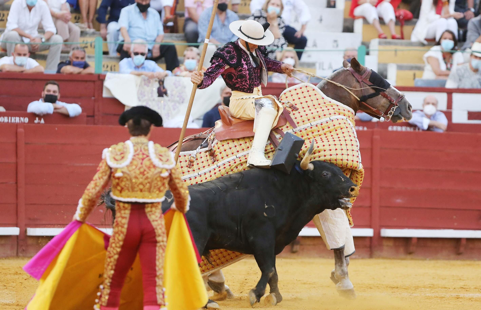 Imágenes de la vuelta de los toros a Jerez Imágenes de la vuelta de los toros a Jerez