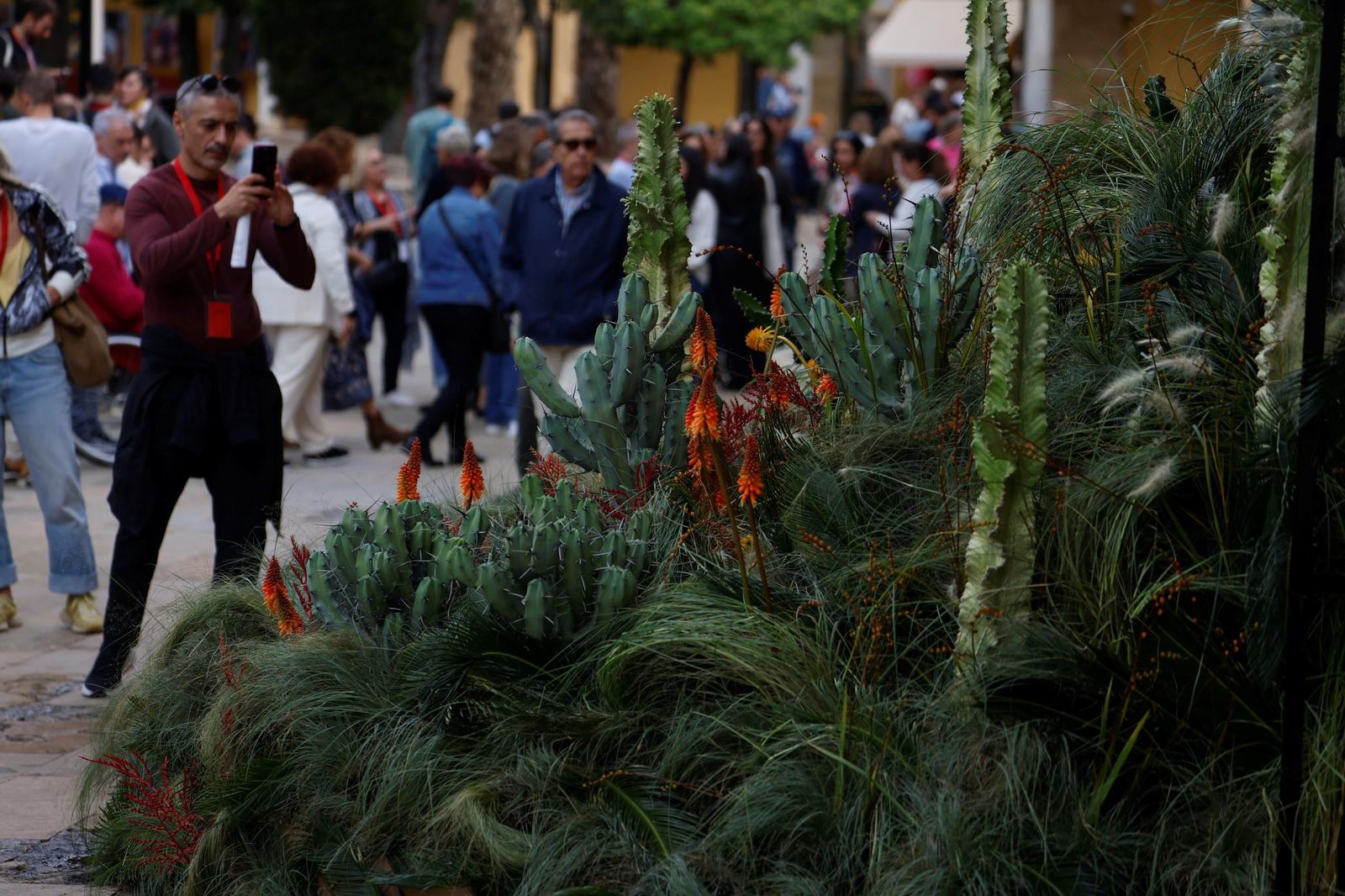 Las últimas horas para visitar las instalaciones de Flora en Córdoba, en imágenes