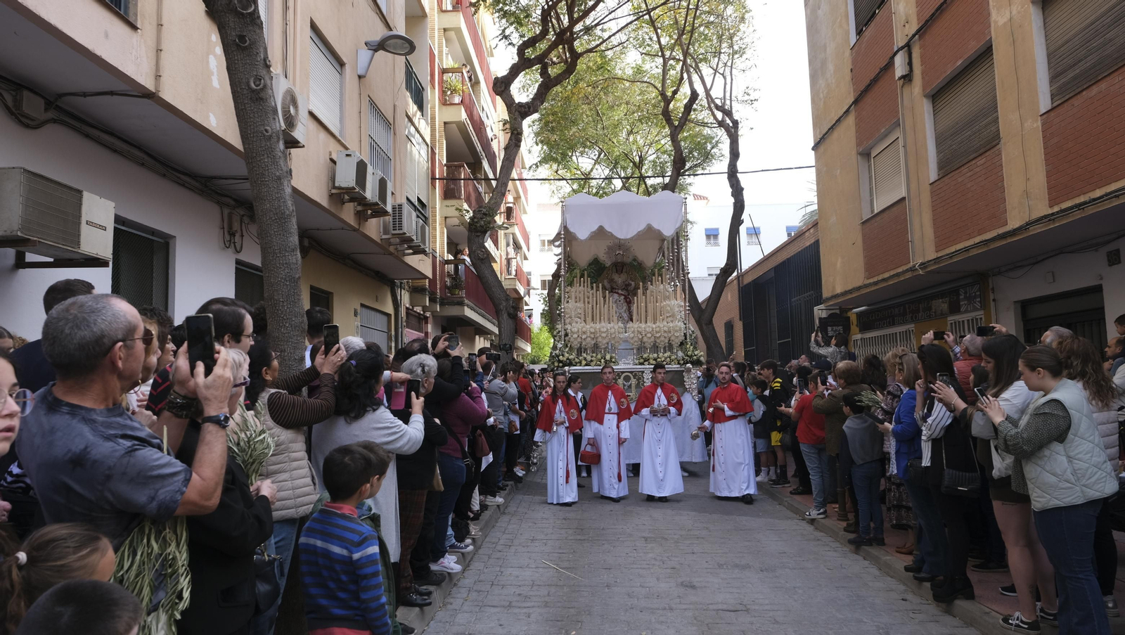 Imágenes de la Procesión de la Borriquita de Almería