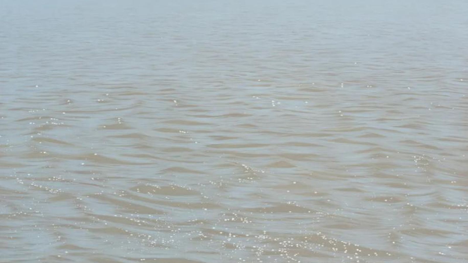 'En este mar sólo hay memoria'. Carmen Bustamante.