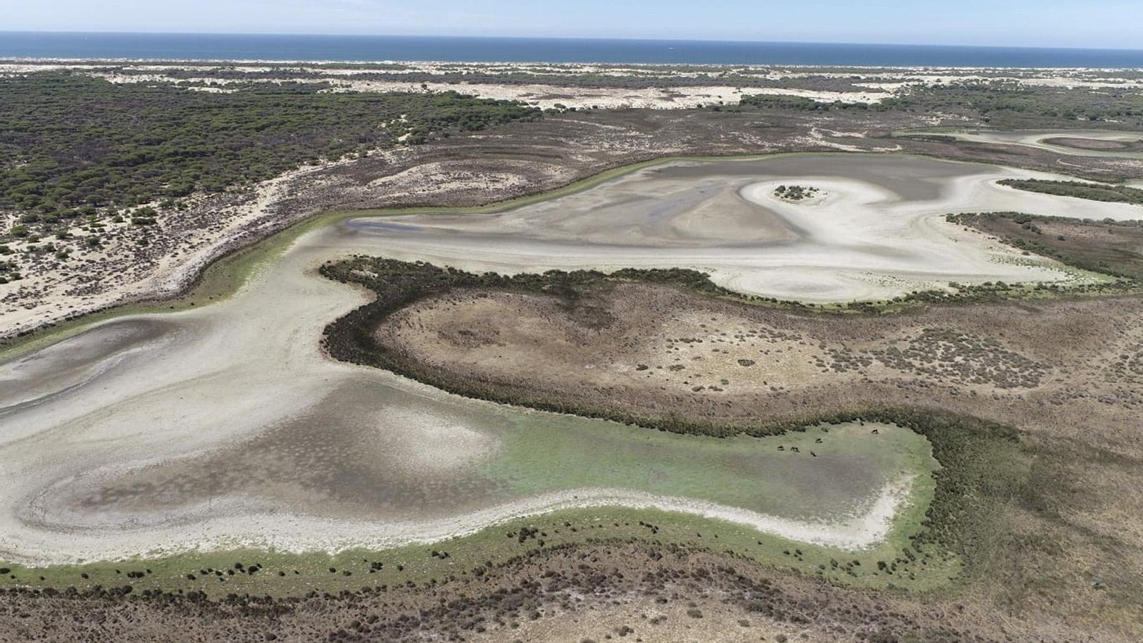 La laguna de Santa Olalla en Doñana, sin agua a finales de agosto.