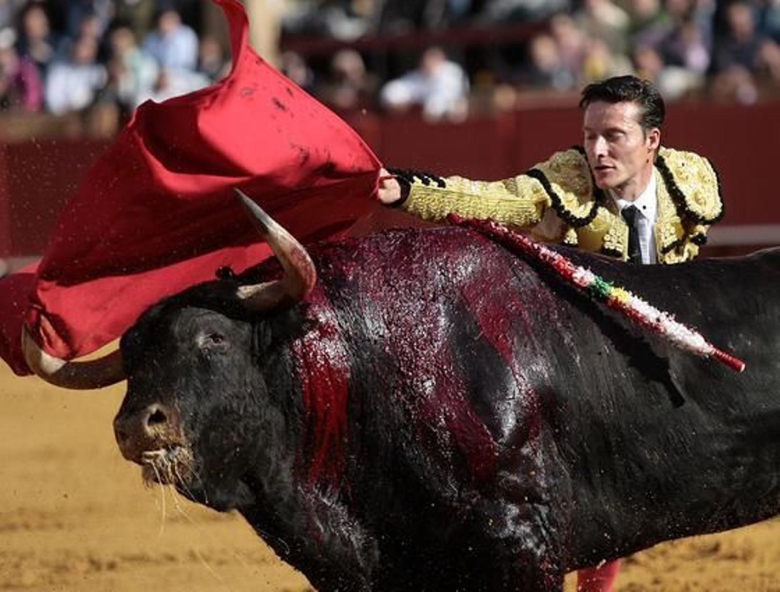 Diego Urdiales, con el primer toro de la tarde en la Maestranza en la octava corrida del abono.

Foto: Juan Carlos Muñoz