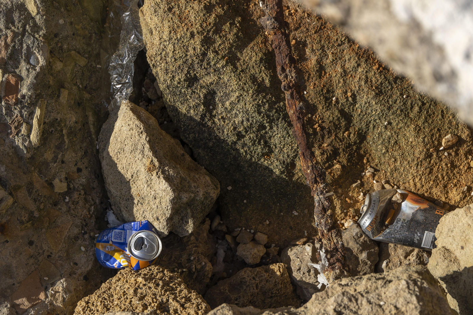 Las imágenes del mal estado de los paseos de Cádiz