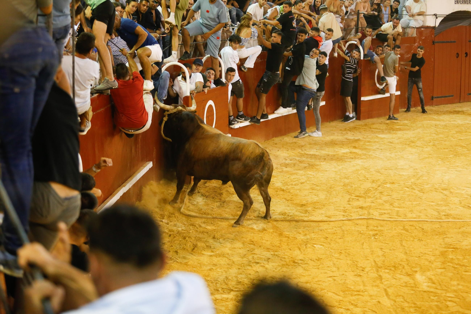 Fotos del Toro del Aguardiente en San Roque