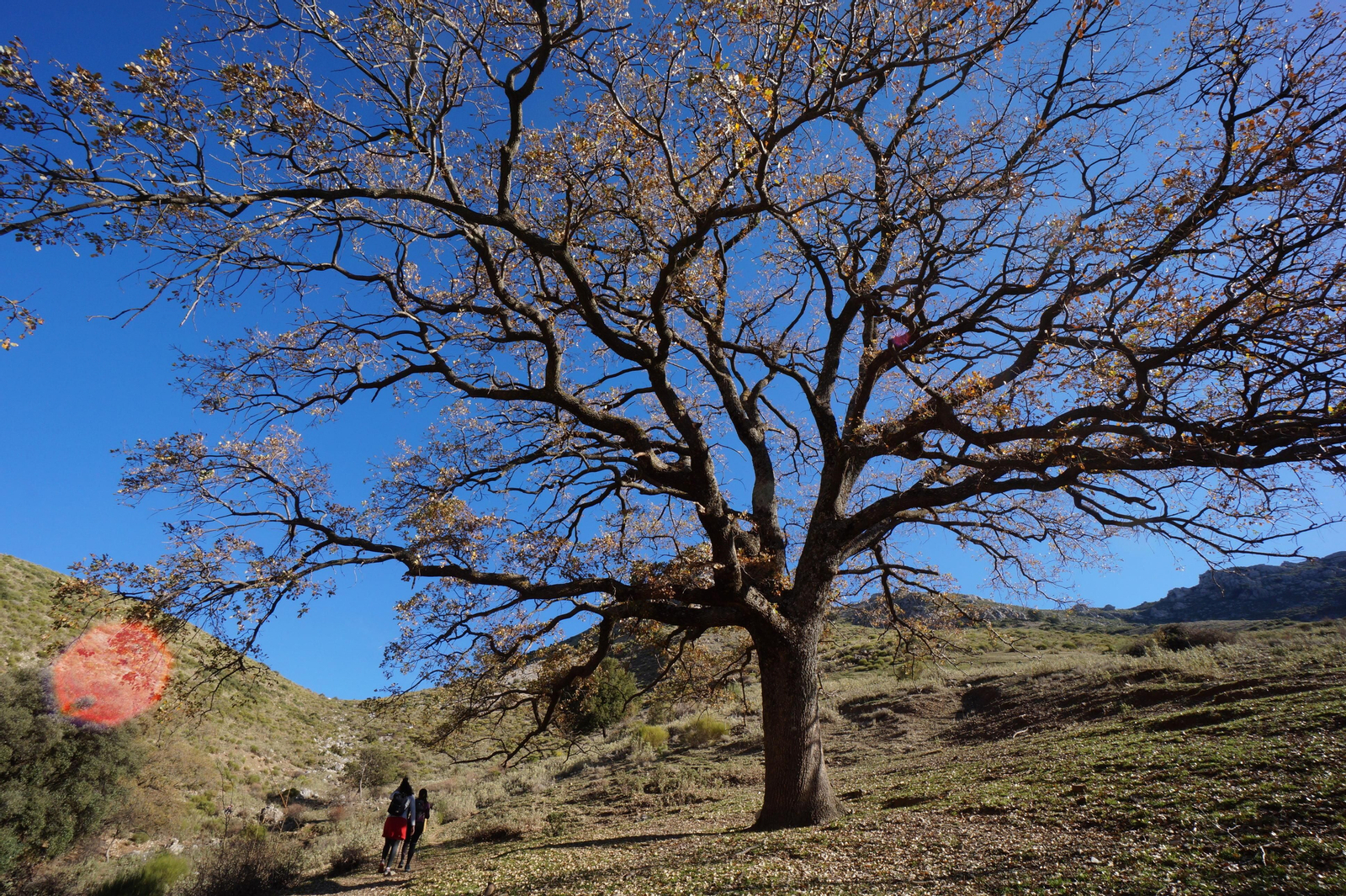 Un recorrido en fotografías de la subida a la Tiñosa, el pico más alto de Córdoba