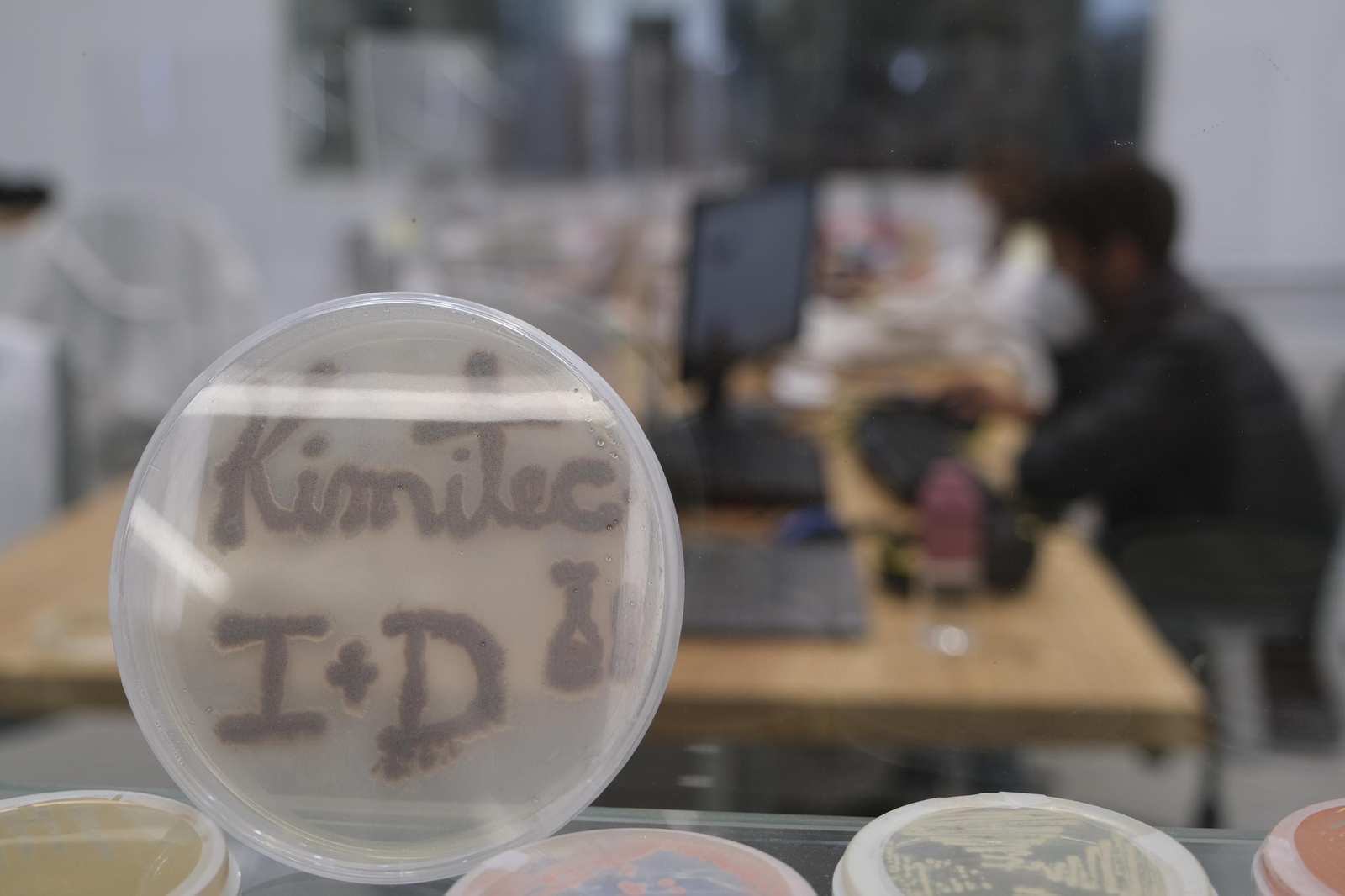 Fotogalería Kimitec-Primafor