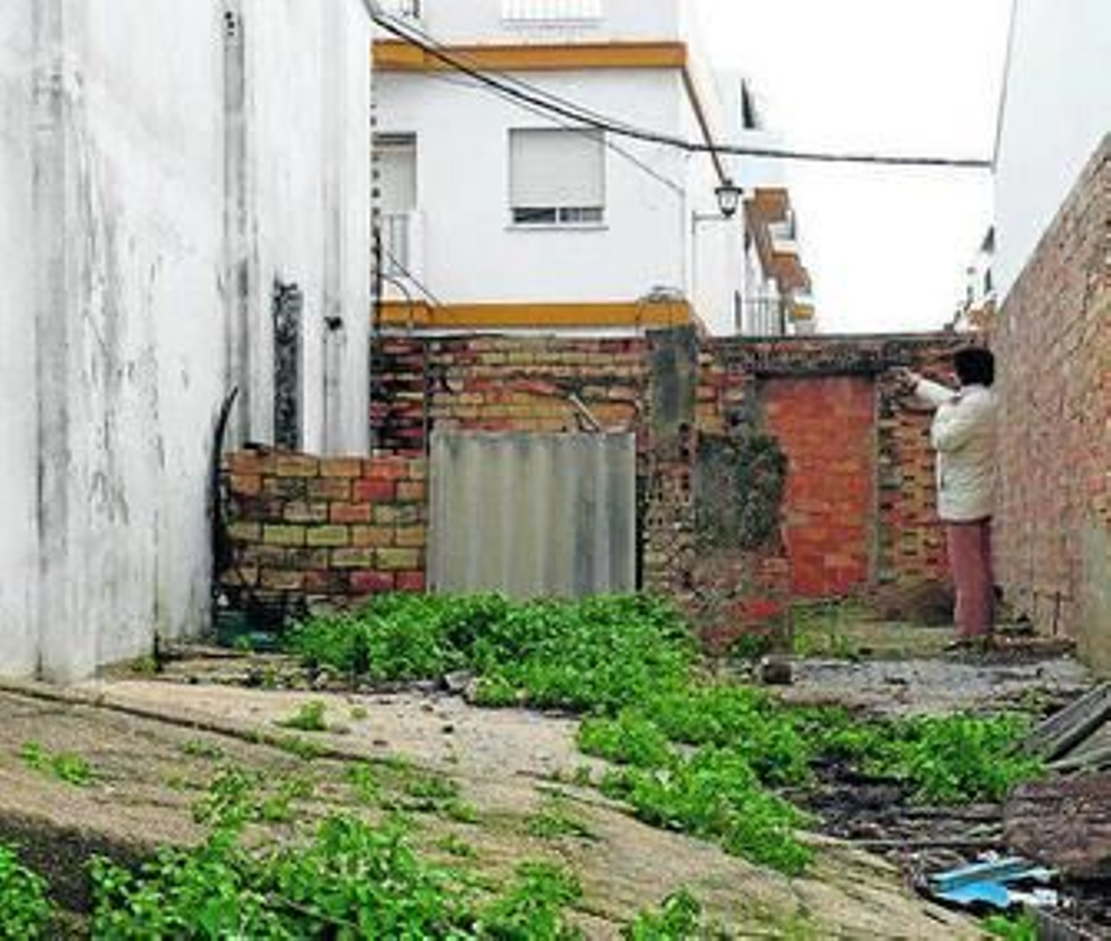 La propietaria señala la tapia por donde entran a robar.
