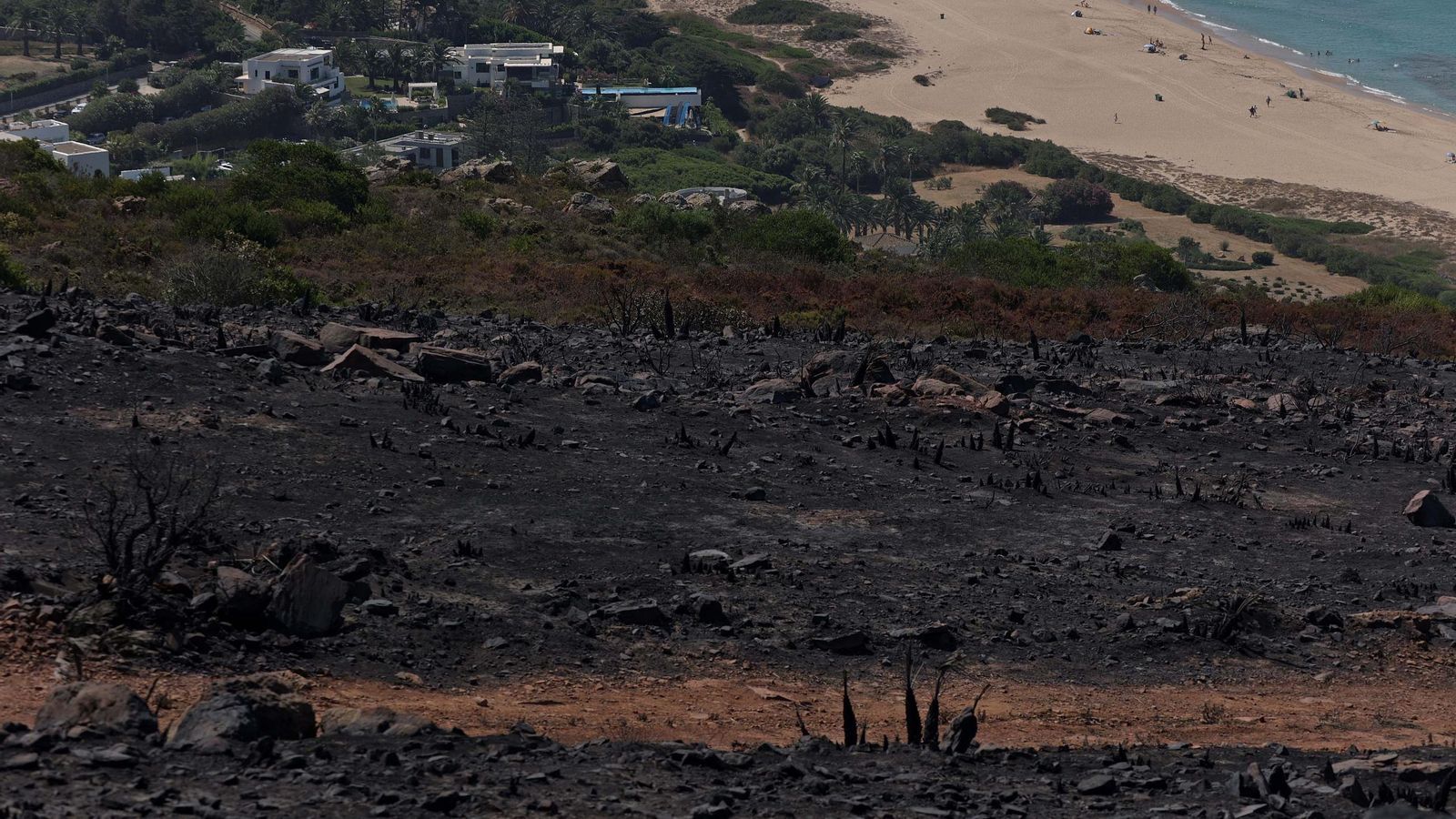El incendio forestal en la Sierra de la Plata de Tarifa