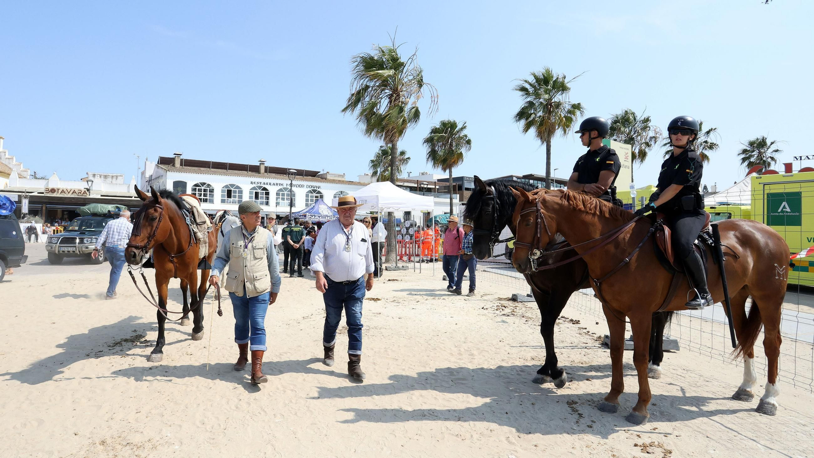 La Hdad del Rocío de Jerez de Bajo Guía a Doñana