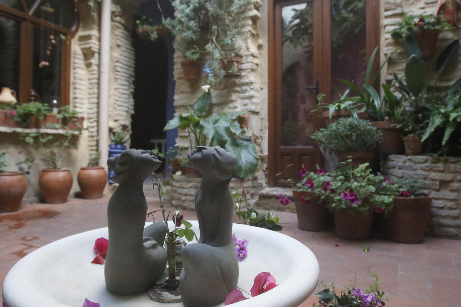 Ruta Judería - San Francisco de los Patios de Córdoba, en imágenes