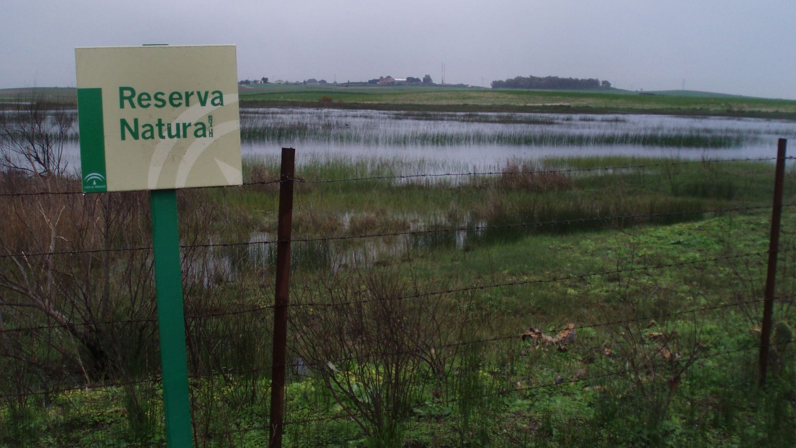 El  Puerto  cuenta con más de 1.200 hectáreas de lagunas.